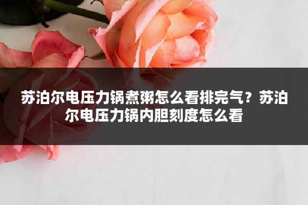 苏泊尔电压力锅煮粥怎么看排完气?苏泊尔电压力锅内胆刻度怎么看