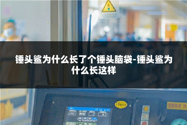 锤头鲨为什么长了个锤头脑袋-锤头鲨为什么长这样