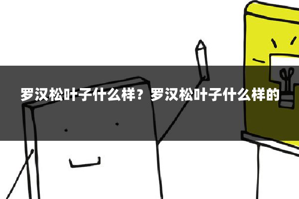 罗汉松叶子什么样?罗汉松叶子什么样的