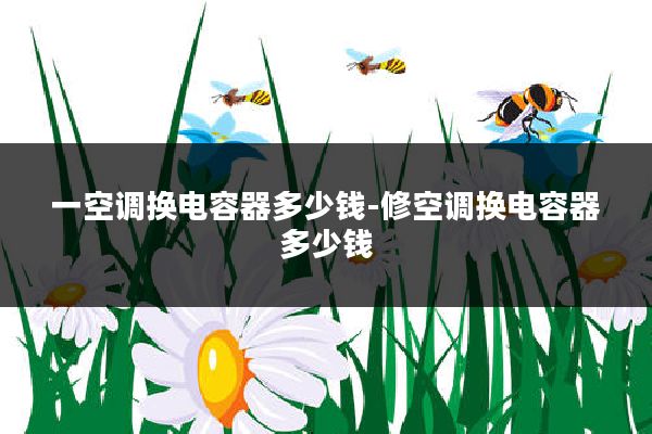 一空调换电容器多少钱-修空调换电容器多少钱