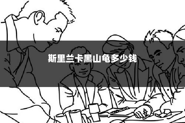 斯里兰卡黑山龟多少钱