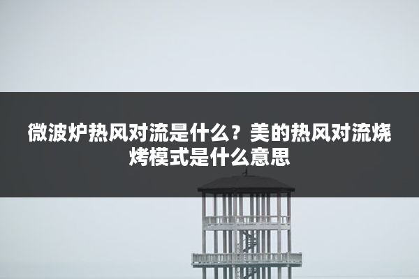 微波炉热风对流是什么?美的热风对流烧烤模式是什么意思