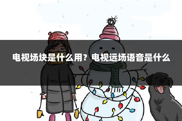 电视场块是什么用?电视远场语音是什么