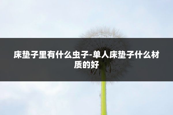 床垫子里有什么虫子-单人床垫子什么材质的好