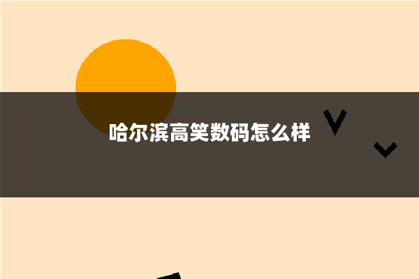 哈尔滨高笑数码怎么样