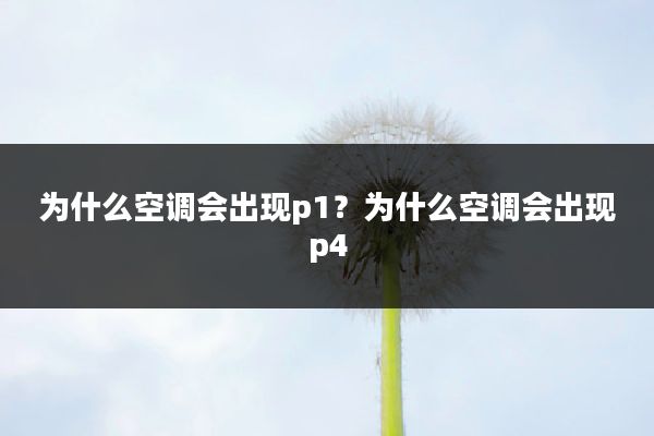 为什么空调会出现p1?为什么空调会出现p4