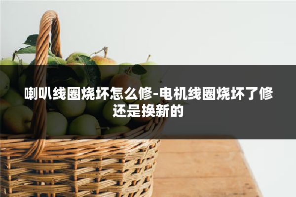 喇叭线圈烧坏怎么修-电机线圈烧坏了修还是换新的