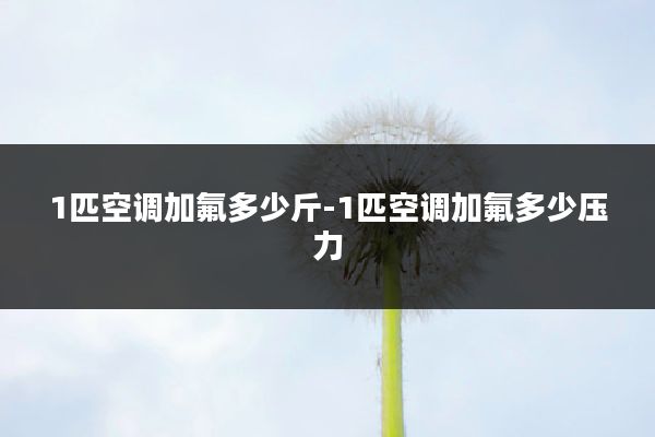 1匹空调加氟多少斤-1匹空调加氟多少压力