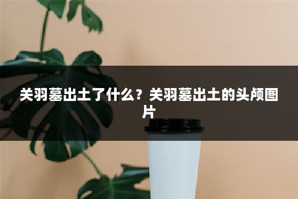 关羽墓出土了什么?关羽墓出土的头颅图片