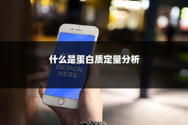 什么是蛋白质定量分析