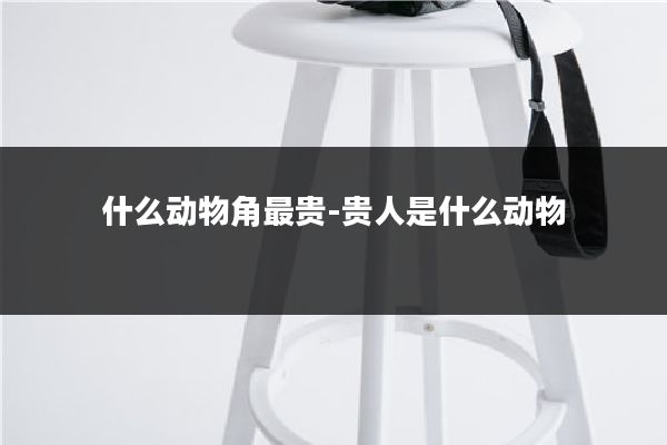 什么动物角最贵-贵人是什么动物