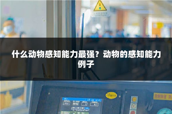 什么动物感知能力最强？动物的感知能力例子
