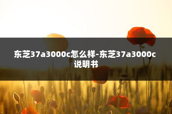 东芝37a3000c怎么样-东芝37a3000c 说明书