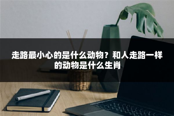 走路最小心的是什么动物?和人走路一样的动物是什么生肖