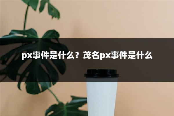 px事件是什么?茂名px事件是什么