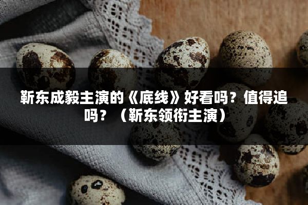 靳东成毅主演的《底线》好看吗？值得追吗？（靳东领衔主演）