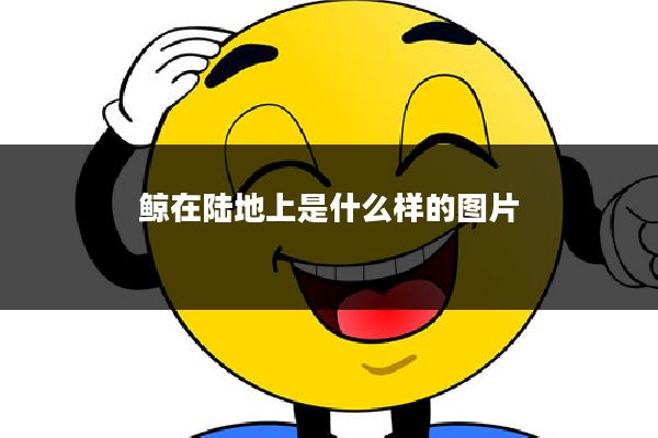 鲸在陆地上是什么样的图片
