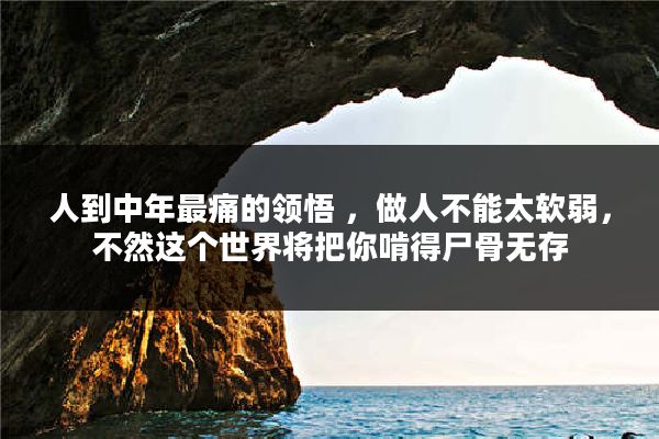 人到中年最痛的领悟 ,做人不能太软弱,不然这个世界将把你啃得尸骨无存