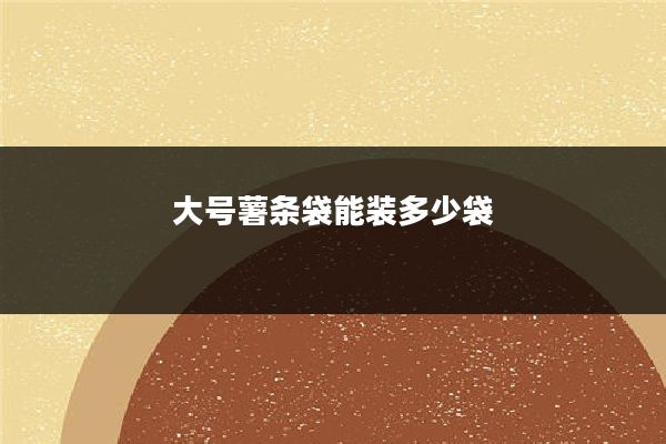 大号薯条袋能装多少袋