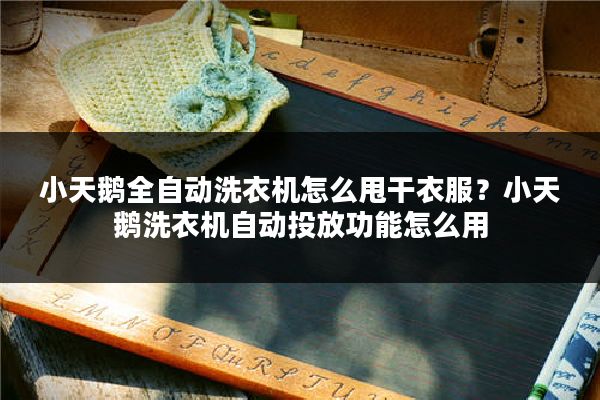 小天鹅全自动洗衣机怎么甩干衣服？小天鹅洗衣机自动投放功能怎么用