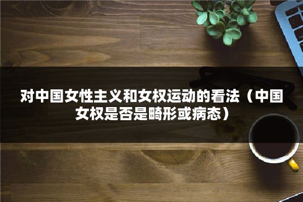 对中国女性主义和女权运动的看法（中国女权是否是畸形或病态）