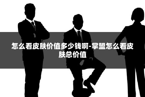 怎么看皮肤价值多少钱啊-掌盟怎么看皮肤总价值