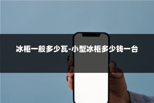 冰柜一般多少瓦-小型冰柜多少钱一台