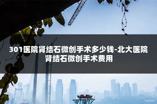 301医院肾结石微创手术多少钱-北大医院肾结石微创手术费用