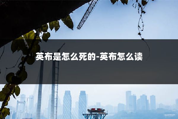 英布是怎么死的-英布怎么读