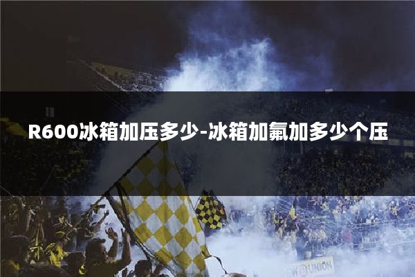 R600冰箱加压多少-冰箱加氟加多少个压