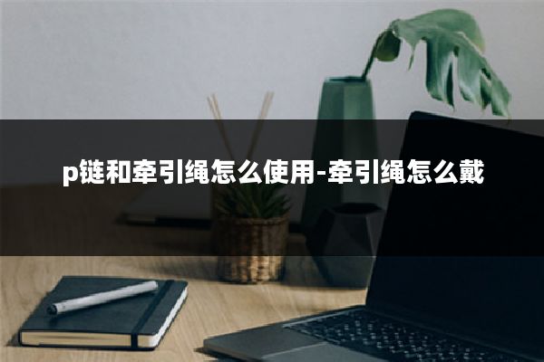 p链和牵引绳怎么使用-牵引绳怎么戴