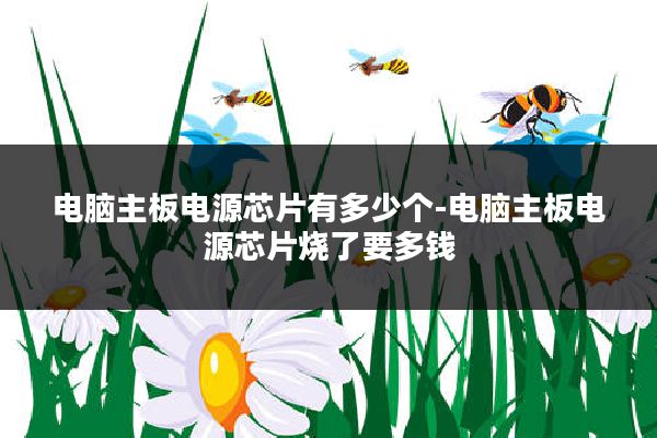 电脑主板电源芯片有多少个-电脑主板电源芯片烧了要多钱