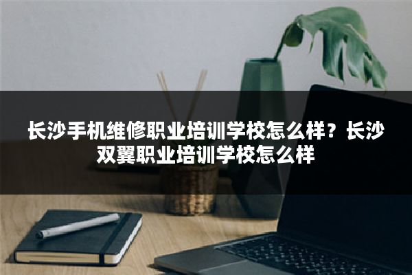 长沙手机维修职业培训学校怎么样?长沙双翼职业培训学校怎么样
