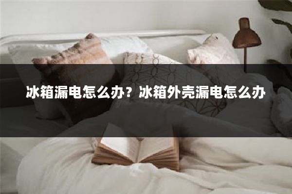 冰箱漏电怎么办？冰箱外壳漏电怎么办