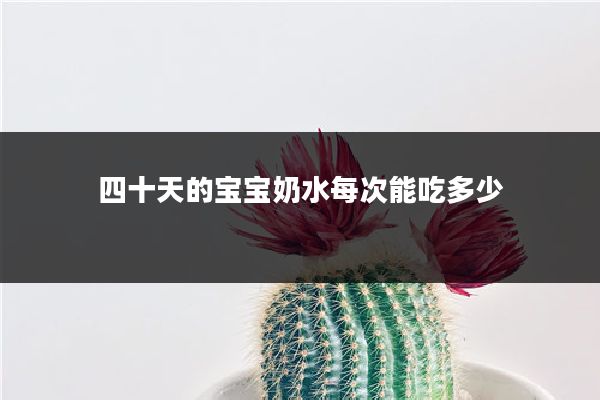 四十天的宝宝奶水每次能吃多少