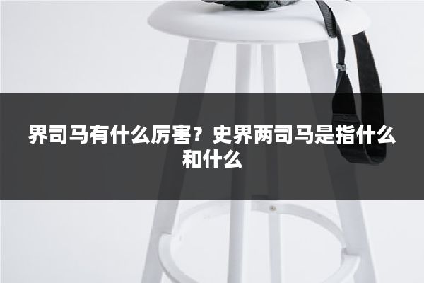 界司马有什么厉害？史界两司马是指什么和什么