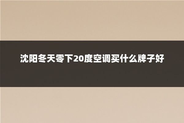 沈阳冬天零下20度空调买什么牌子好