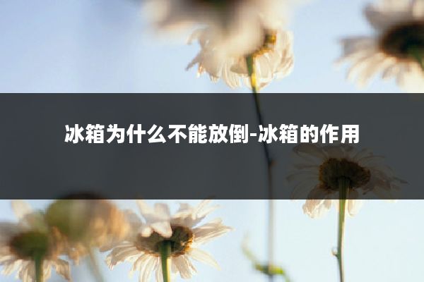 冰箱为什么不能放倒-冰箱的作用