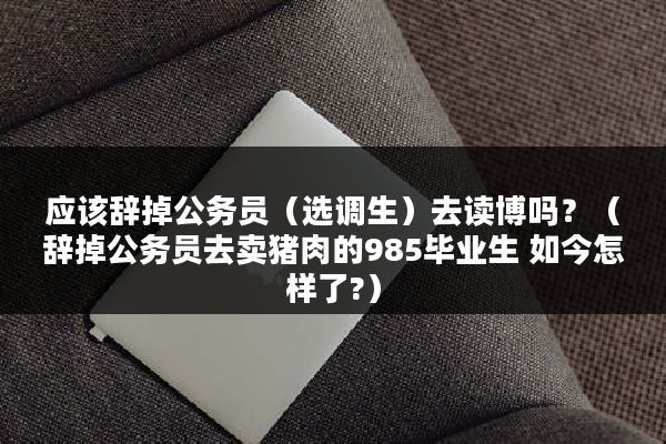 应该辞掉公务员（选调生）去读博吗？（辞掉公务员去卖猪肉的985毕业生 如今怎样了?）