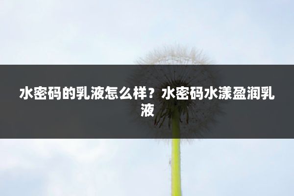 水密码的乳液怎么样?水密码水漾盈润乳液