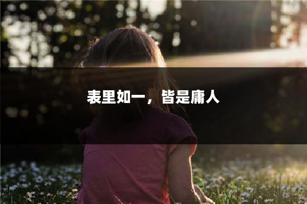 表里如一，皆是庸人