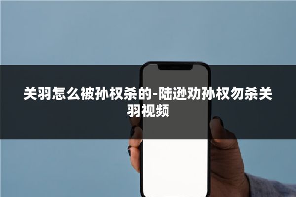 关羽怎么被孙权杀的-陆逊劝孙权勿杀关羽视频