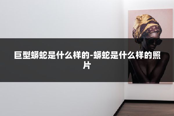 巨型蟒蛇是什么样的-蟒蛇是什么样的照片