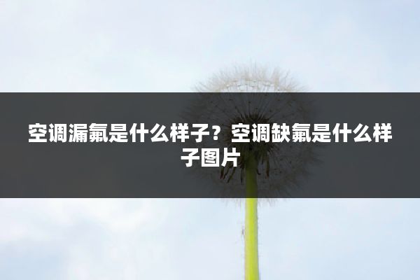 空调漏氟是什么样子?空调缺氟是什么样子图片