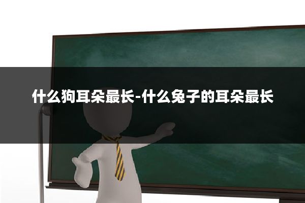 什么狗耳朵最长-什么兔子的耳朵最长