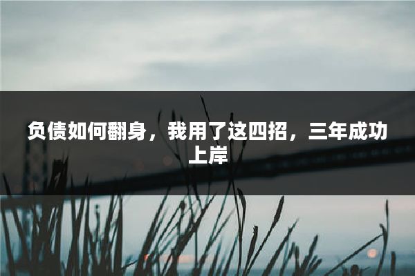 负债如何翻身，我用了这四招，三年成功上岸