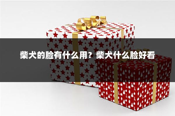 柴犬的脸有什么用？柴犬什么脸好看