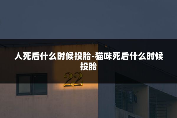 人死后什么时候投胎-猫咪死后什么时候投胎
