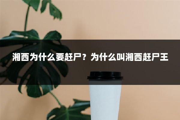 湘西为什么要赶尸?为什么叫湘西赶尸王