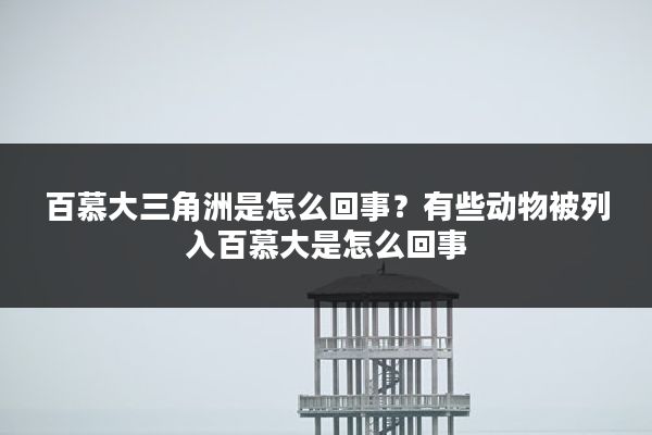 百慕大三角洲是怎么回事？有些动物被列入百慕大是怎么回事